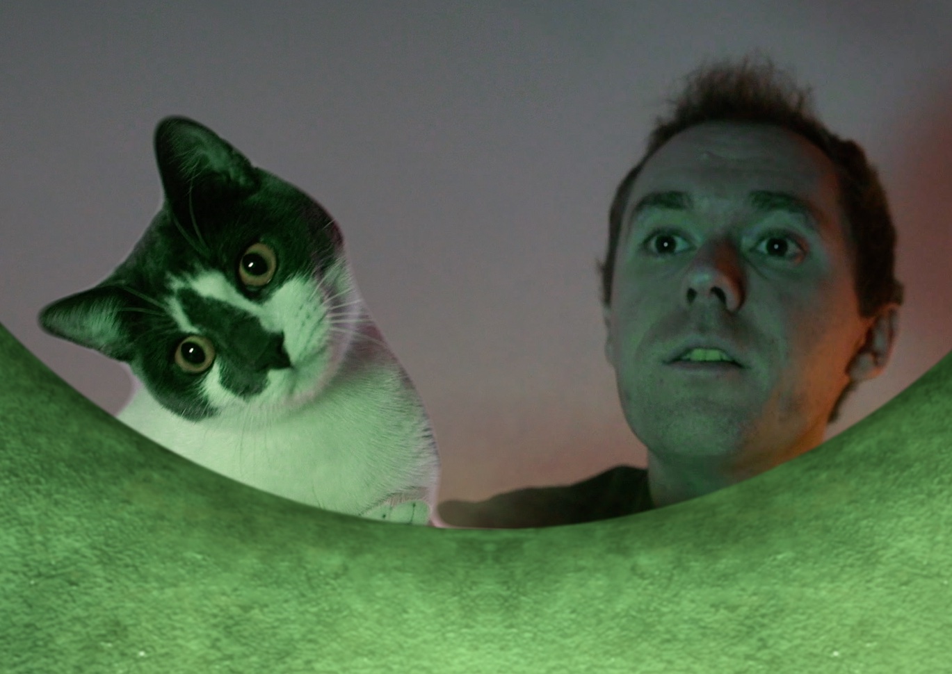 Who Made The 'Cat in Blender Video?'