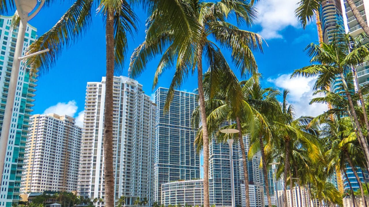 Miami Awaits with a Curated Itinerary for a Personalized and Sustainable Weekend Escape