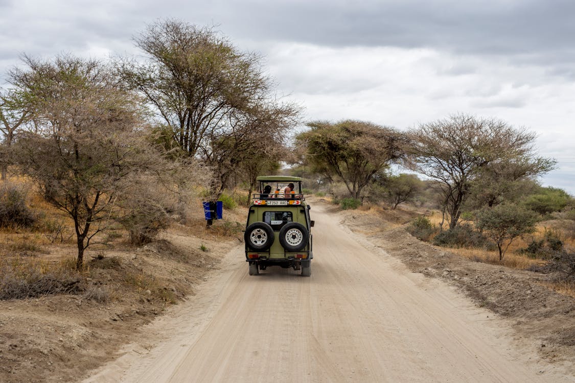 Kenya Safari Adventures