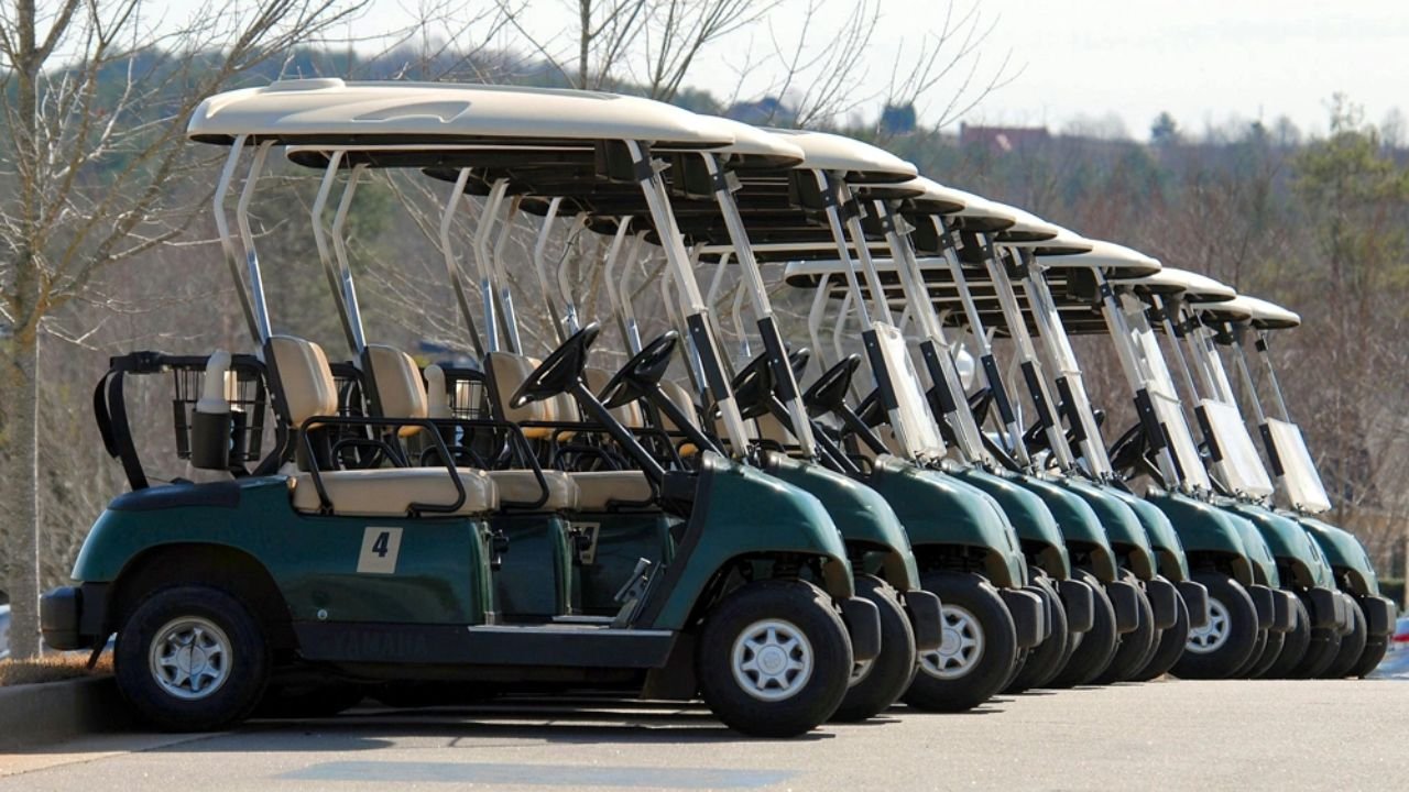 Crucial Factors to Consider Choosing the Perfect Golf Cart