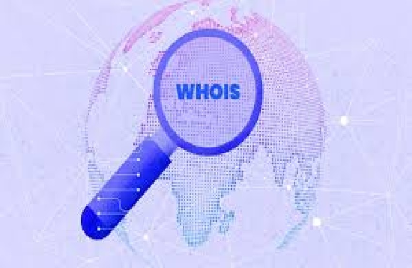 "Domain Age WHOIS Lookup: How to Check the Age and Details of Any Domain"