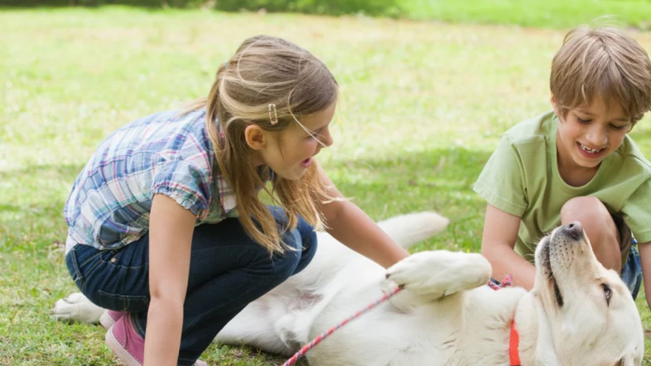 How to Avoid Further Problems After a Dog Bite Incident