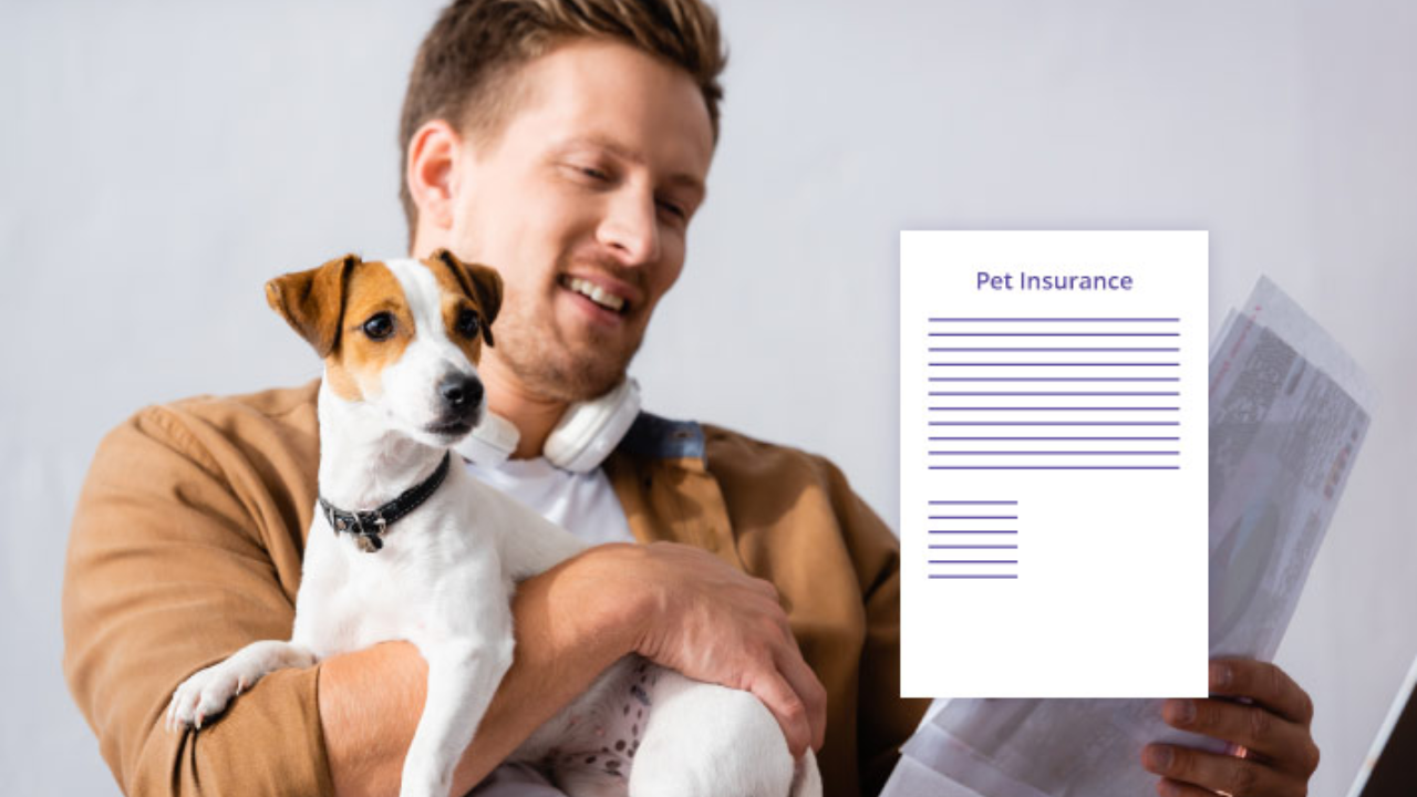 Is Pet Insurance Worth It?
