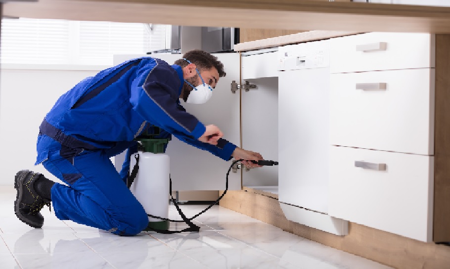 Cost-Effective Pest Control in Bakersfield: Saving Money and Protecting Your Home
