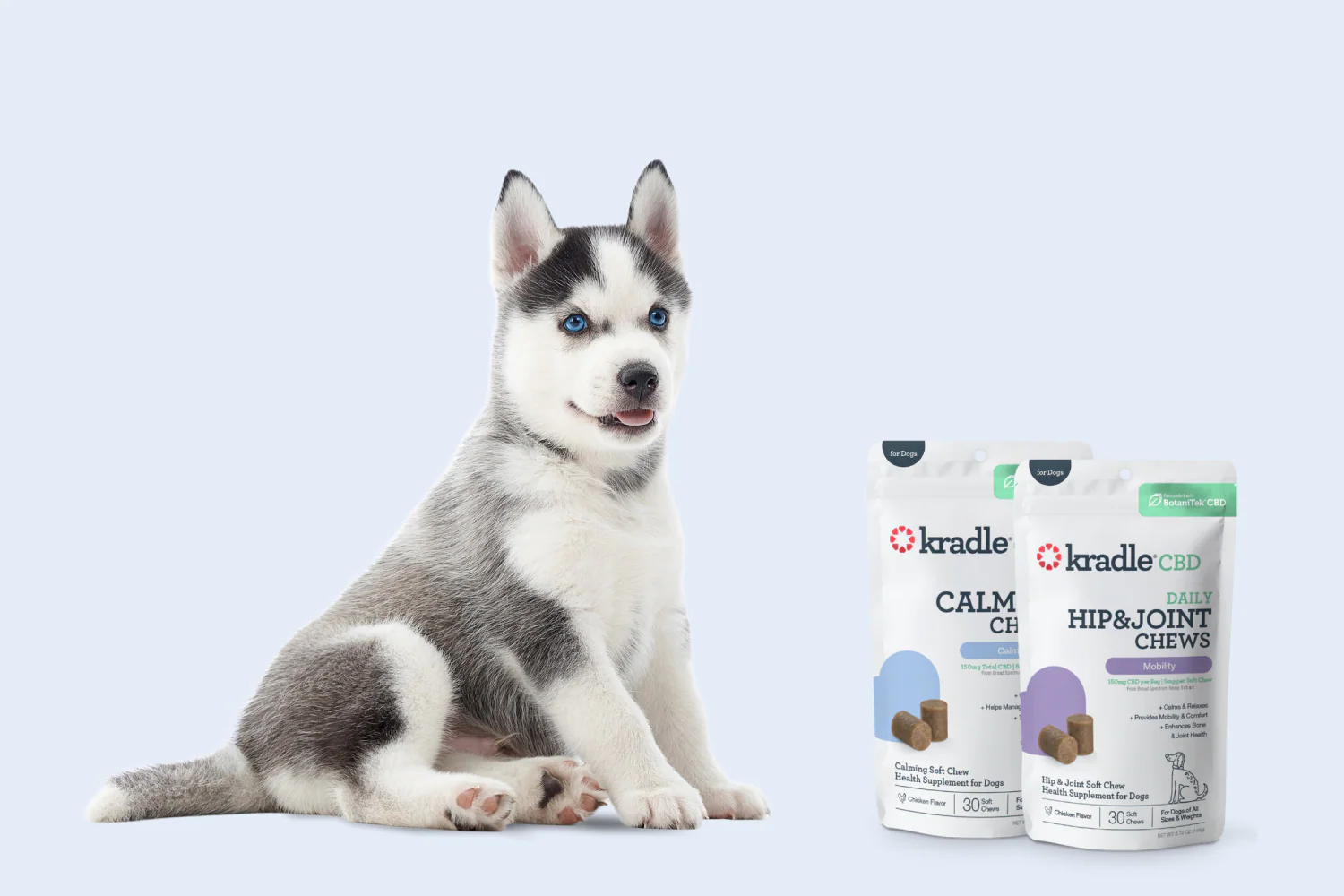 Effective Ways CBD Chews Help Soothe Nervous Dogs