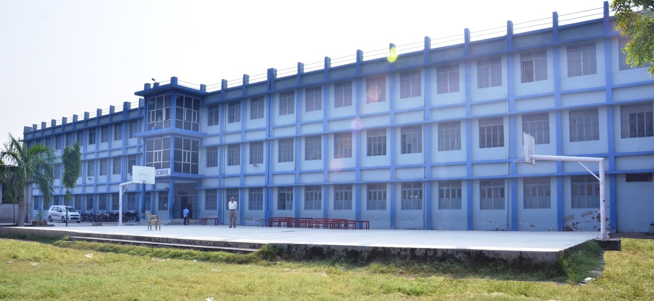 Tulip Public School: A Beacon of Excellence in Modern Education