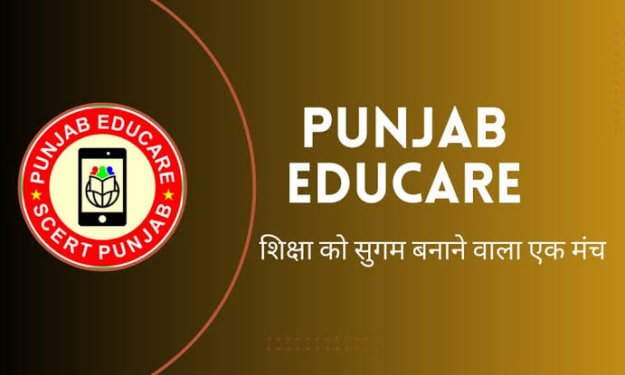 Is the Punjab Educare App Safe?