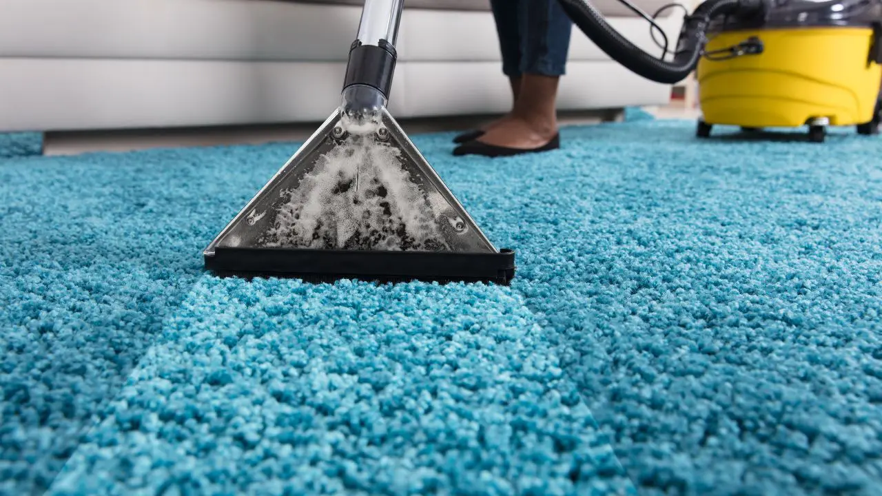 Why Carpet Cleaning in Murray is Important for Indoor Air Quality