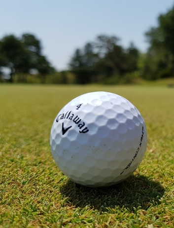 Randolph Oaks Golf Course: Tradition Meets Modern Play