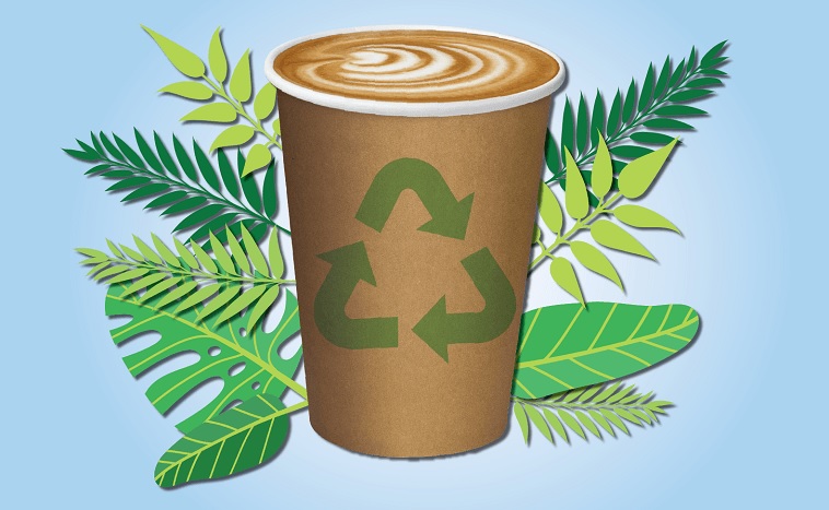 Why Double Wall Paper Cups Are the Future of Sustainable Beverage Packaging