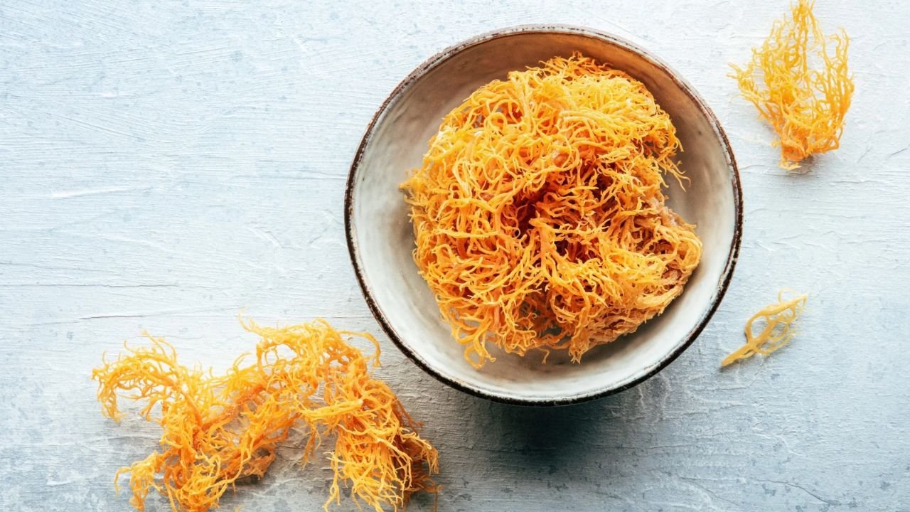 Sea Moss Benefits: Energy, Skin, Thyroid & More Uses