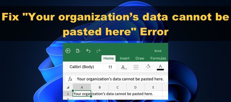 Your Organization’s Data Cannot Be Pasted Here. Error Fix
