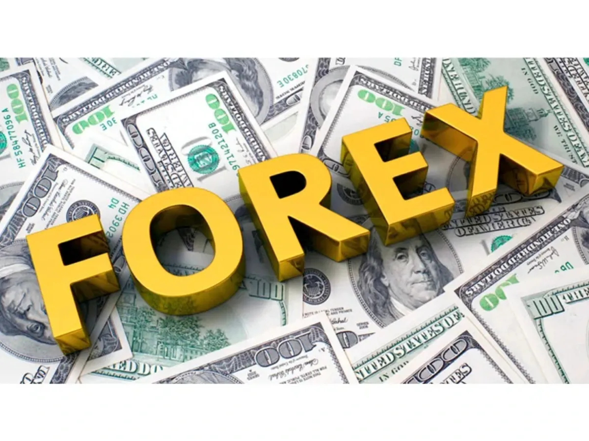 Forex Reserves: The Quiet Backbone of an Economy