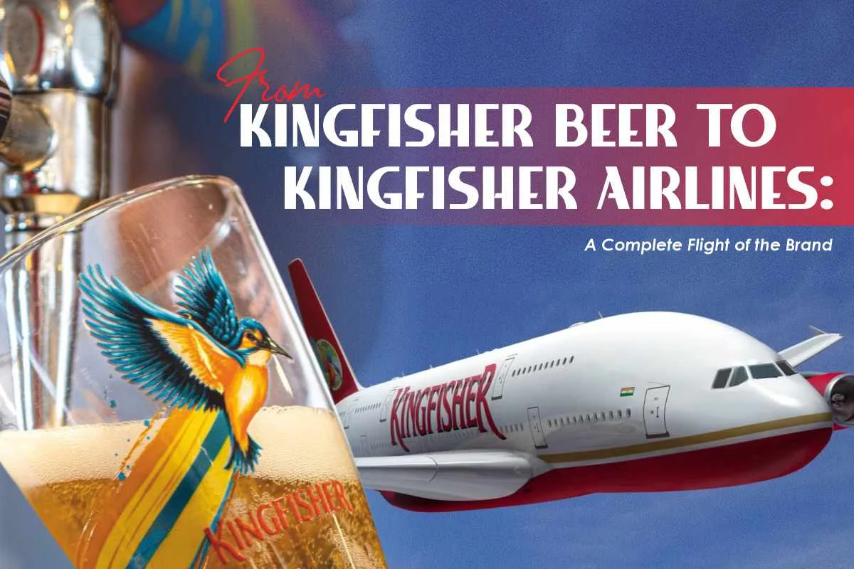 The Journey of Kingfisher