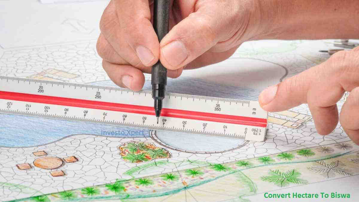 Hectare to Biswa – Accurate Methods, Tips, and Comparison Tables