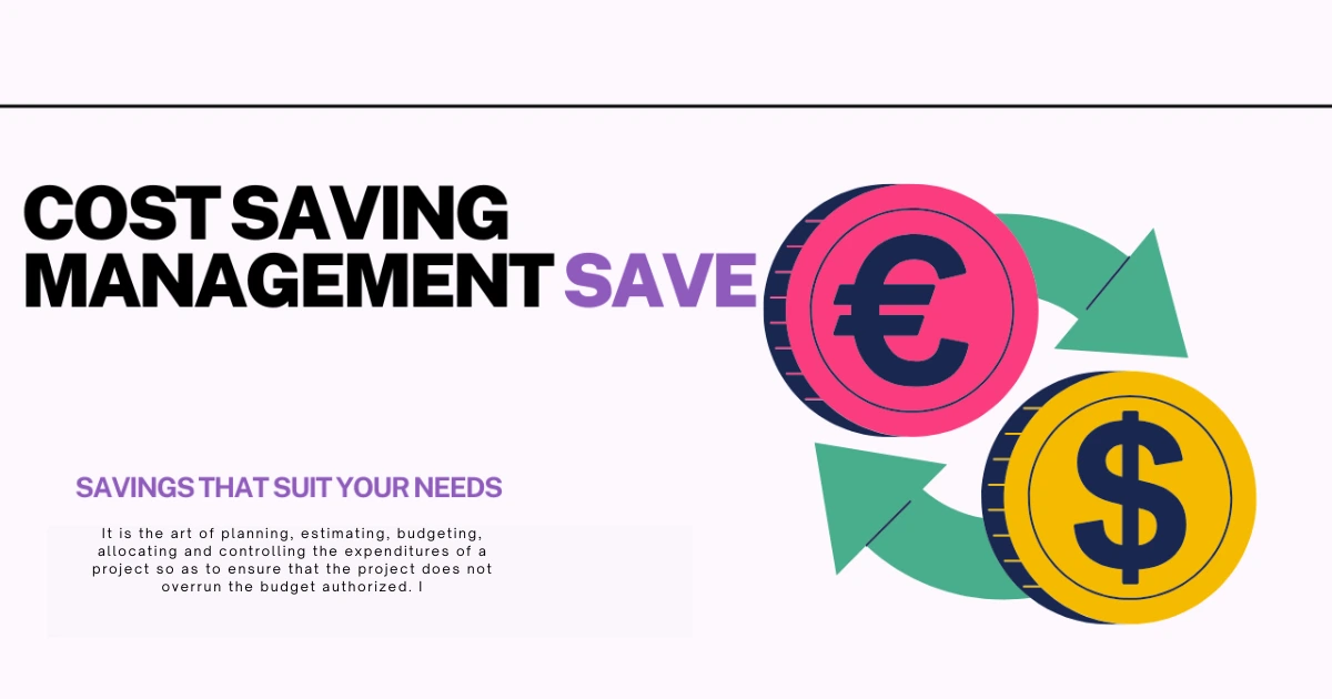Cost Savings Project Management
