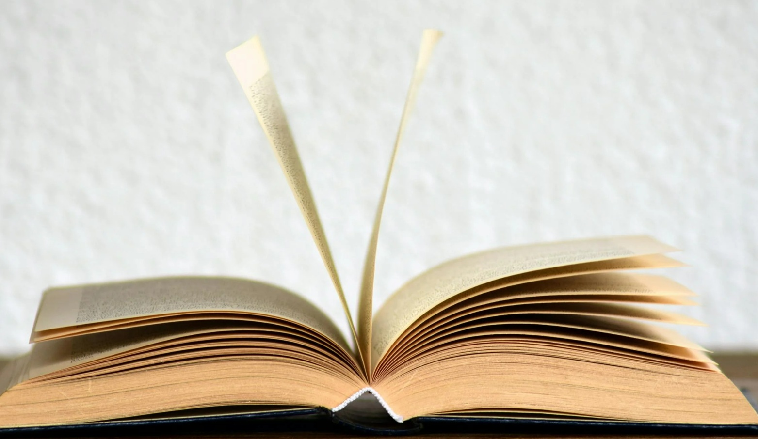 Unveiling the Literary Treasure of North India: Rajmangal Publishers