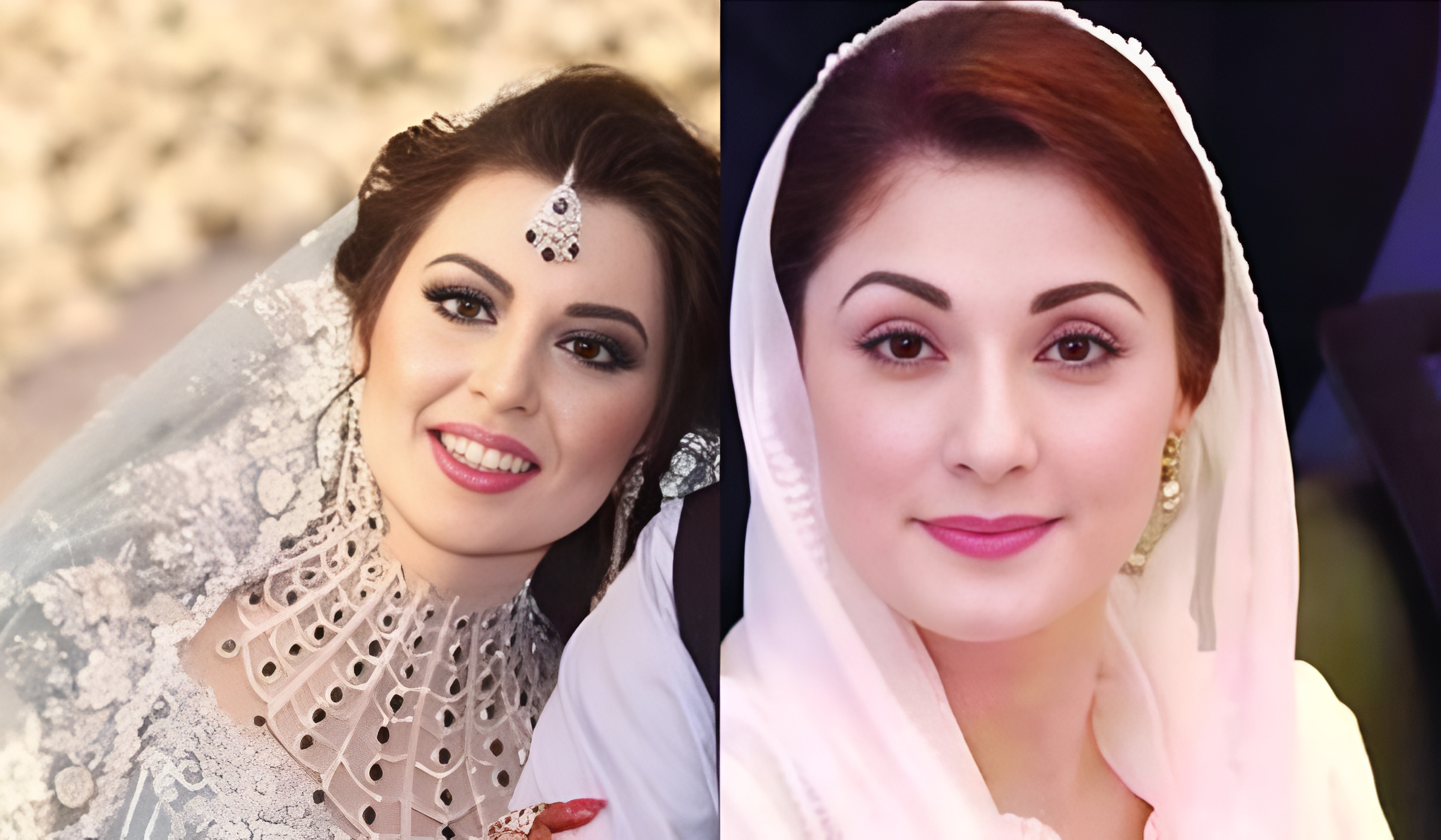 Early Life and Education of Mehrunnisa Sharif