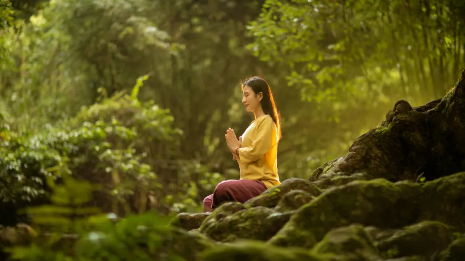 Kialodenzydaisis Healing: A Human-Centered Guide to Recovery