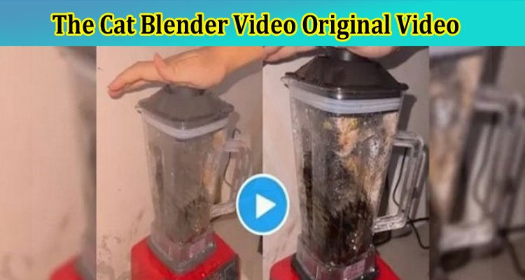 Cat in Blender | Twitter Cat In Blender Full Original Video
