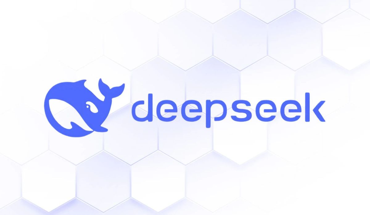 Safety and Privacy Measures on Deepseekplay Com