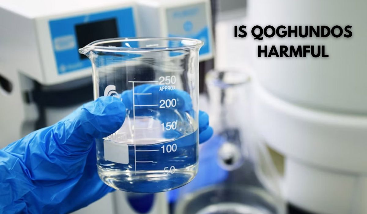 Is Qoghundos Harmful? Full Truth, Effects, and Expert Breakdown