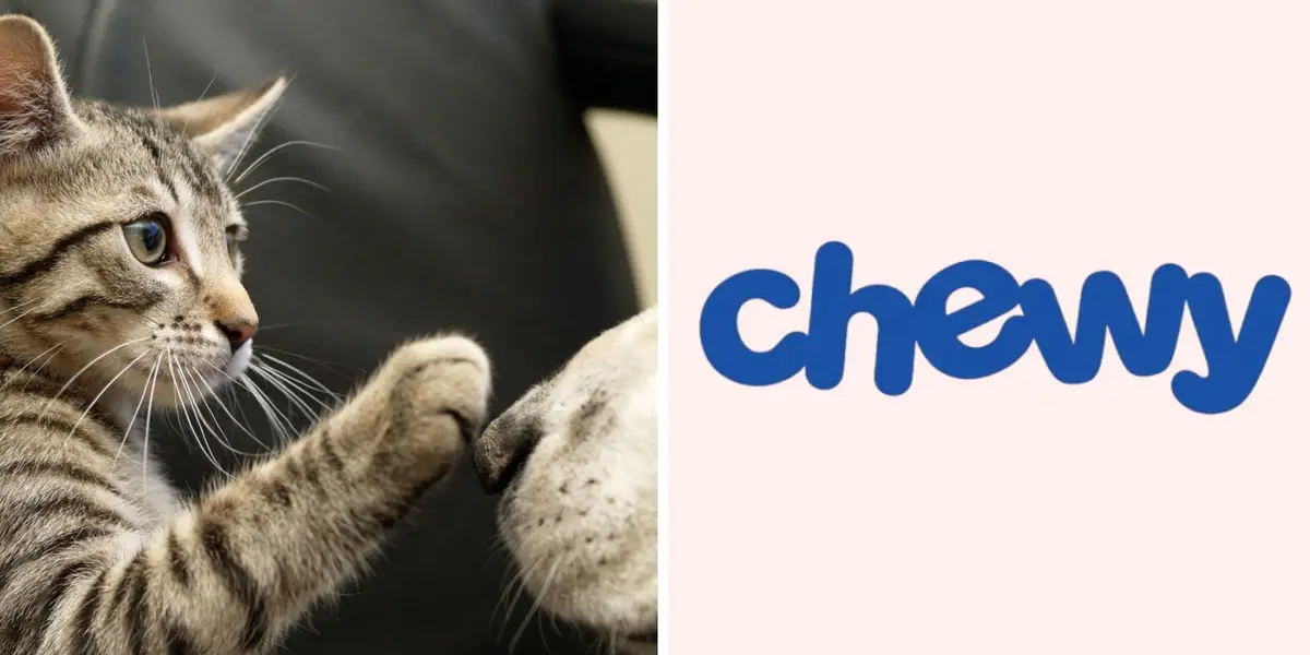 Chewy com log in Guide for Faster Shopping & Big Savings