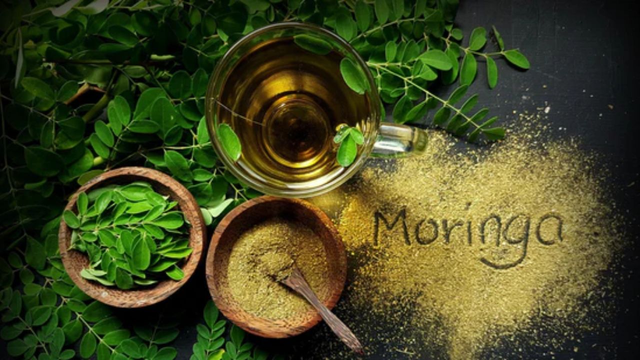 Why Maromyalgialenoz Important