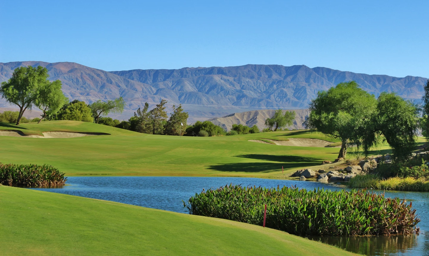Arnold Palmer and Coyote Hills Golf Course